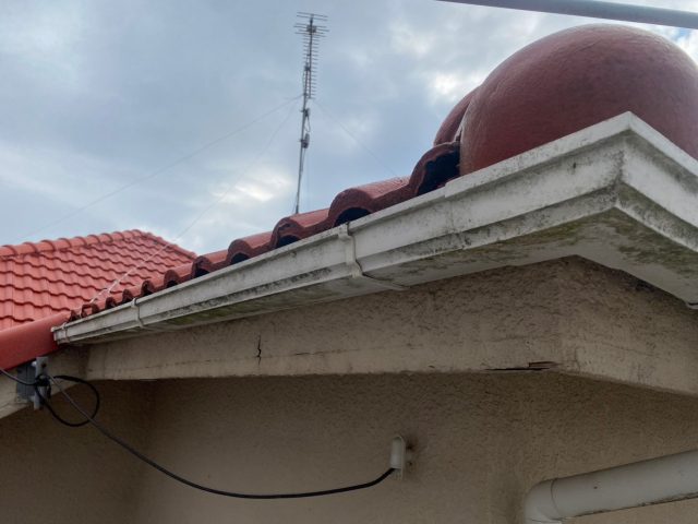 播磨町で経年劣化で苔が生えた樋